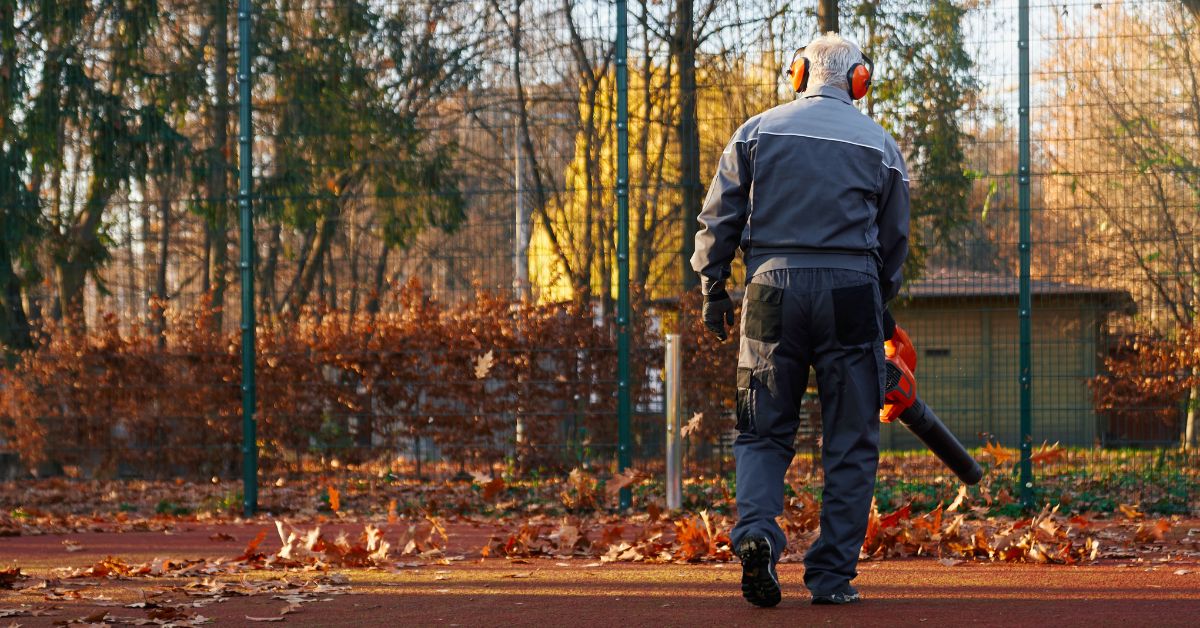 Second image: The Ultimate Guide to Echo Leaf Blowers in 2024