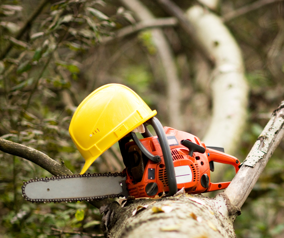 Untitled design (55)