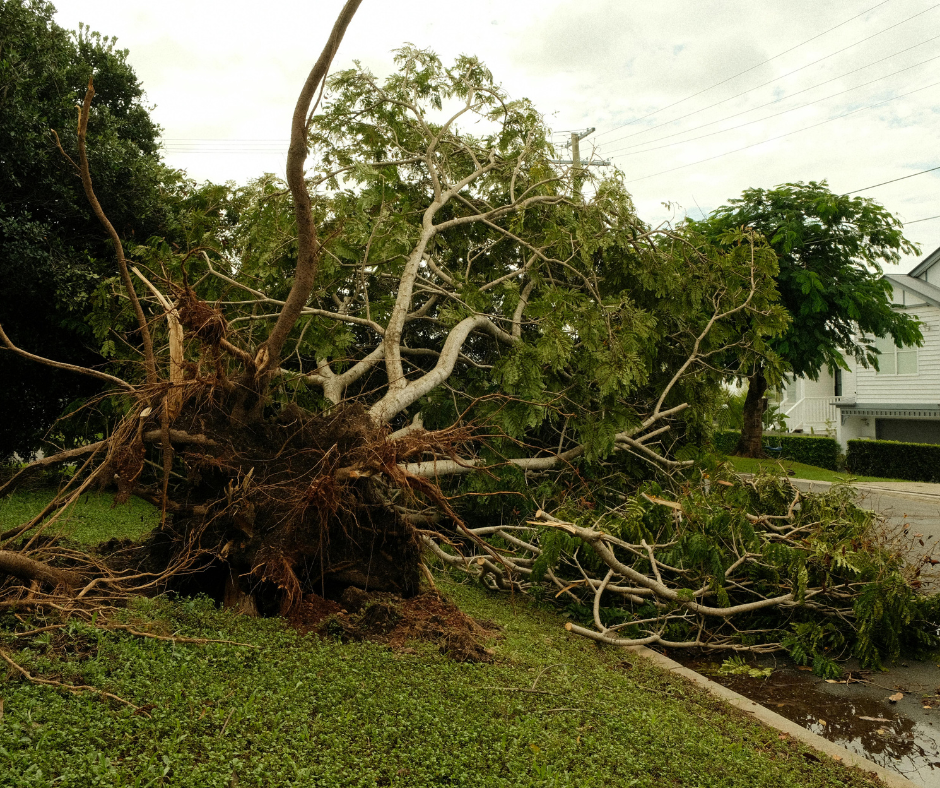 Untitled design (56) Avada Car Dealer News